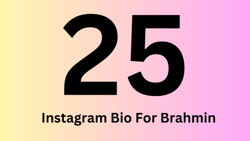 Brahmin Bio For Instagram