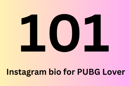 Instagram bio for PUBG Lover