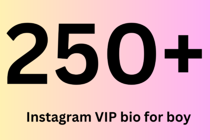 Instagram VIP bio for boy